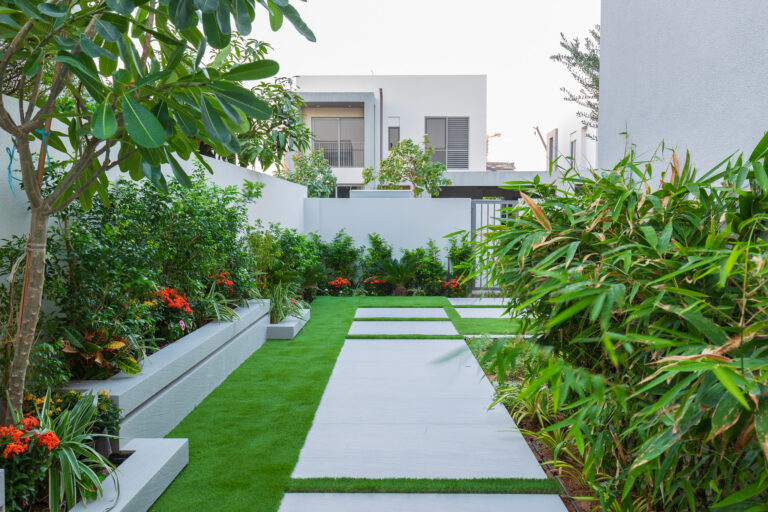 Outdoor and Garden Renovation